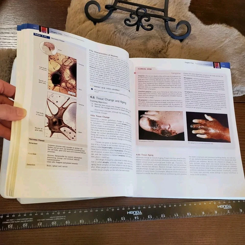 Anatomy physiology the unity of‎ form and function 6th Edition